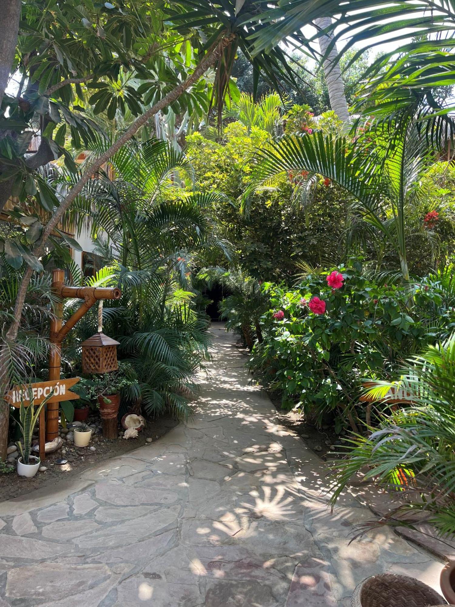 Los Corales Mancora Ngoại thất bức ảnh